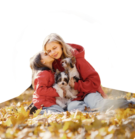 yd2333�ƶ�������Ϸ(�ɷ����޹�˾)-Baidu�ٿ�NO.1