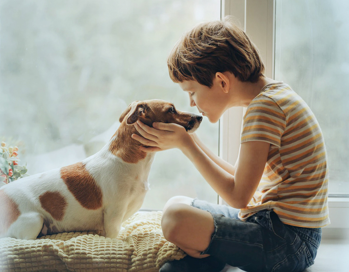 yd2333�ƶ�������Ϸ(�ɷ����޹�˾)-Baidu�ٿ�NO.1