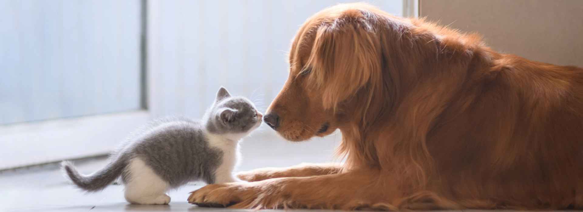 yd2333�ƶ�������Ϸ(�ɷ����޹�˾)-Baidu�ٿ�NO.1