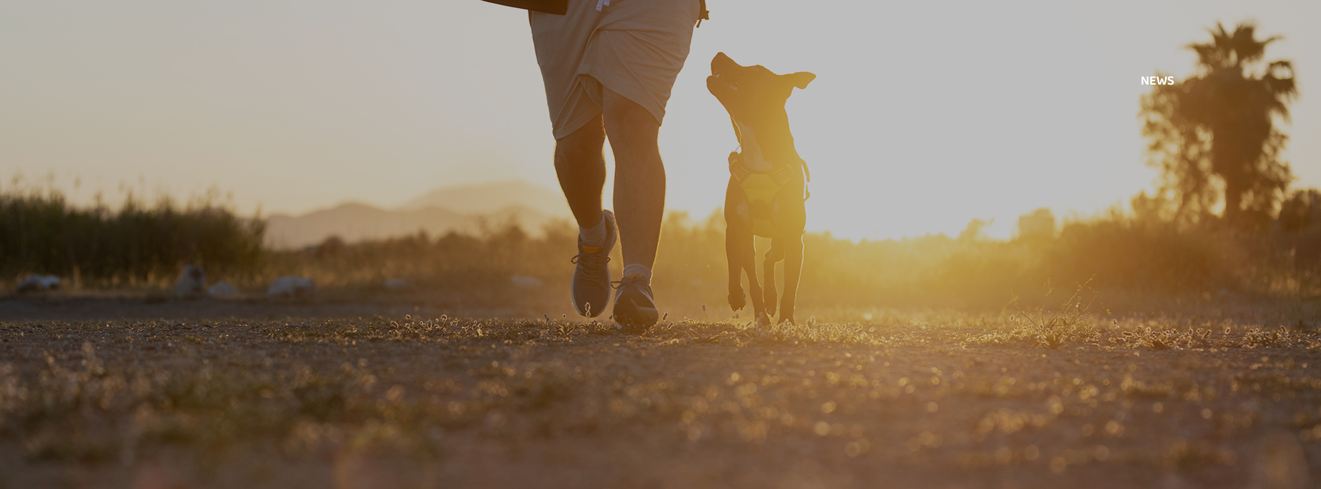 yd2333�ƶ�������Ϸ(�ɷ����޹�˾)-Baidu�ٿ�NO.1