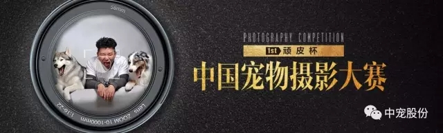 yd2333�ƶ�������Ϸ(�ɷ����޹�˾)-Baidu�ٿ�NO.1