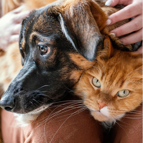 yd2333�ƶ�������Ϸ(�ɷ����޹�˾)-Baidu�ٿ�NO.1