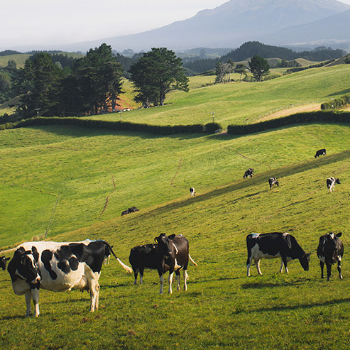 yd2333�ƶ�������Ϸ(�ɷ����޹�˾)-Baidu�ٿ�NO.1