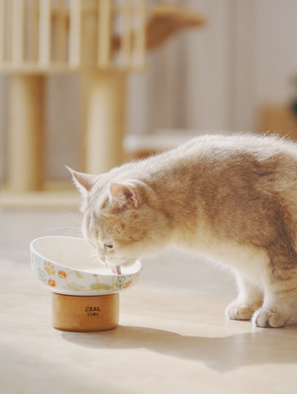 yd2333�ƶ�������Ϸ(�ɷ����޹�˾)-Baidu�ٿ�NO.1