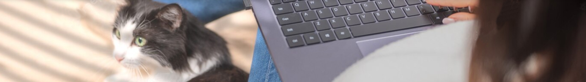 ��Ƶ����