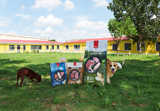 yd2333�ƶ�������Ϸ(�ɷ����޹�˾)-Baidu�ٿ�NO.1