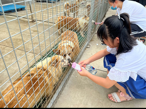 yd2333�ƶ�������Ϸ(�ɷ����޹�˾)-Baidu�ٿ�NO.1