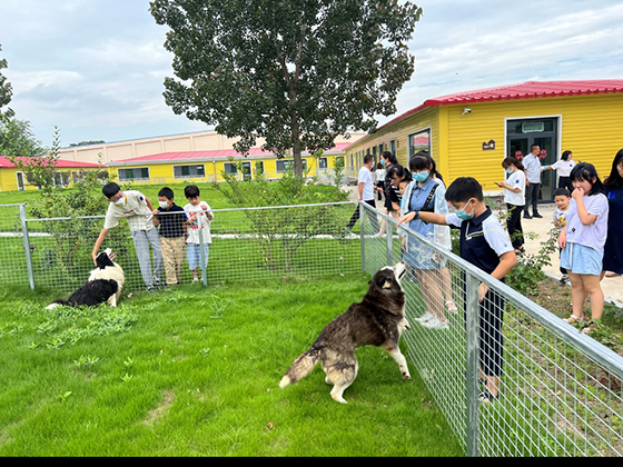 yd2333�ƶ�������Ϸ(�ɷ����޹�˾)-Baidu�ٿ�NO.1