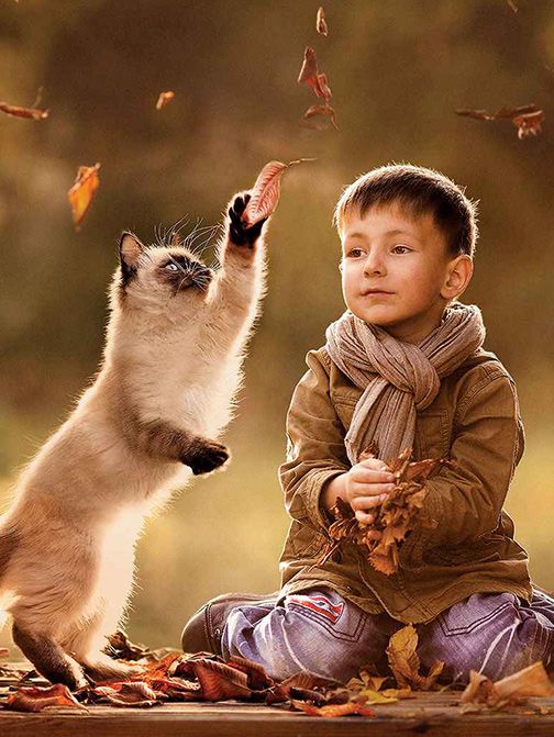 yd2333�ƶ�������Ϸ(�ɷ����޹�˾)-Baidu�ٿ�NO.1