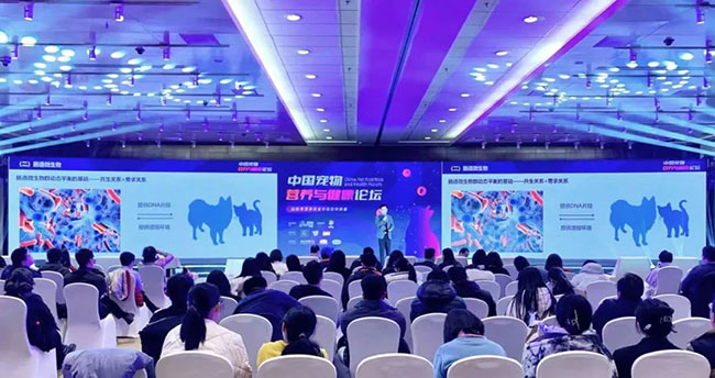 yd2333�ƶ�������Ϸ(�ɷ����޹�˾)-Baidu�ٿ�NO.1