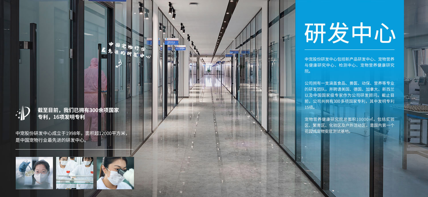 yd2333云顶电子游戏(股份有限公司)-Baidu百科NO.1